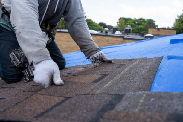 Best Roof Gutter Cleaning  in Bayshore, NC