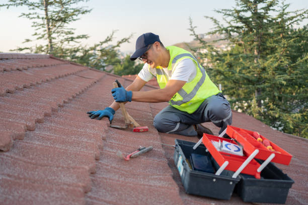 Quick and Trustworthy Emergency Roof Repair Services in Bayshore, NC